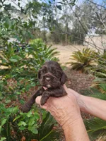 processed/fd436e6a-6b65-4207-b00c-3d95f7bf5faa/listing/dcff00ec-7a64-4a44-87dd-a95479c75a9c/da49b3b8-04aa-45d6-86e2-7fb4cf1fee7d