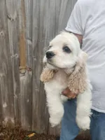 processed/fd436e6a-6b65-4207-b00c-3d95f7bf5faa/listing/ff752260-23f8-4c5a-82b8-7383db4f855e/05fd06ce-da05-41e0-9a31-226d90de3ac8