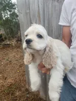 processed/fd436e6a-6b65-4207-b00c-3d95f7bf5faa/listing/ff752260-23f8-4c5a-82b8-7383db4f855e/ffc38847-4db2-49c1-bf1e-6b767cc18c1b