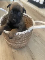 processed/fd4c5a1f-84dd-4204-8764-06a929a1b7f7/listing/2055d9fd-6dfa-474d-bcad-30f2180210a5/30b8337e-db2f-47e6-93f3-34e12a400050