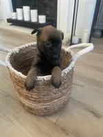 processed/fd4c5a1f-84dd-4204-8764-06a929a1b7f7/listing/2055d9fd-6dfa-474d-bcad-30f2180210a5/bc45beb8-57bf-4ad6-9f26-91ee66c03ed5