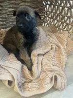 processed/fd4c5a1f-84dd-4204-8764-06a929a1b7f7/listing/2055d9fd-6dfa-474d-bcad-30f2180210a5/c9ccc1e7-cbb7-4215-ba9a-7fc3baed2c12