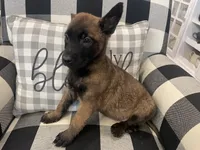 processed/fd4c5a1f-84dd-4204-8764-06a929a1b7f7/listing/2055d9fd-6dfa-474d-bcad-30f2180210a5/fa88ca28-c8d8-4a12-b04e-39e5f3b21e8e