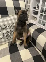 processed/fd4c5a1f-84dd-4204-8764-06a929a1b7f7/listing/3f7e71c7-7b52-4dc3-9c77-cbc1c51ce796/0d0f58f5-e3d0-43be-abd1-ee3899f2e8e6