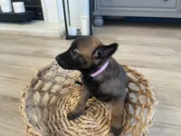 processed/fd4c5a1f-84dd-4204-8764-06a929a1b7f7/listing/3f7e71c7-7b52-4dc3-9c77-cbc1c51ce796/11ca6f95-f0de-4081-9f52-f3772036c7d2