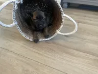 processed/fd4c5a1f-84dd-4204-8764-06a929a1b7f7/listing/3f7e71c7-7b52-4dc3-9c77-cbc1c51ce796/2f610256-345d-4128-a9f3-59c7e851f453