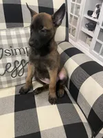 processed/fd4c5a1f-84dd-4204-8764-06a929a1b7f7/listing/3f7e71c7-7b52-4dc3-9c77-cbc1c51ce796/af9834d9-5e35-41d3-acdb-fdac9e3977c4