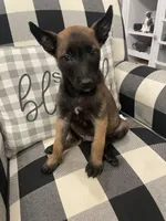 processed/fd4c5a1f-84dd-4204-8764-06a929a1b7f7/listing/573baed9-66fa-45af-b2da-21fcca567a10/05bf350a-490f-411a-acf0-f85821075c58