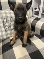 processed/fd4c5a1f-84dd-4204-8764-06a929a1b7f7/listing/573baed9-66fa-45af-b2da-21fcca567a10/08bf32c6-aa40-42a7-b289-c4c38971fee6