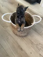 processed/fd4c5a1f-84dd-4204-8764-06a929a1b7f7/listing/573baed9-66fa-45af-b2da-21fcca567a10/79458791-b691-4e07-a21a-e02aea2707b0