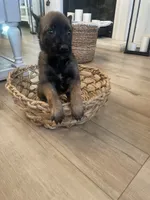 processed/fd4c5a1f-84dd-4204-8764-06a929a1b7f7/listing/573baed9-66fa-45af-b2da-21fcca567a10/f1689955-fedf-4ab1-b61b-3b8ca8b3c82b