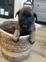 processed/fd4c5a1f-84dd-4204-8764-06a929a1b7f7/listing/6f9e8494-7b62-48a4-94aa-94c4b1a8b142/00879fdd-1e59-4ed9-80a7-1fb9b8a7234e