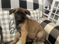 processed/fd4c5a1f-84dd-4204-8764-06a929a1b7f7/listing/6f9e8494-7b62-48a4-94aa-94c4b1a8b142/3fe97465-65a4-4a01-bddc-bb5fc2cdcd69