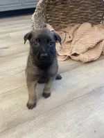 processed/fd4c5a1f-84dd-4204-8764-06a929a1b7f7/listing/6f9e8494-7b62-48a4-94aa-94c4b1a8b142/6b29e7bc-b64d-4e3e-b908-567186b744aa