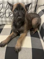 processed/fd4c5a1f-84dd-4204-8764-06a929a1b7f7/listing/f7c1189e-fa20-460d-b697-7d9d5871b259/455ed957-b9e9-4589-937c-84cd4a44daad