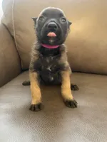 processed/fd4c5a1f-84dd-4204-8764-06a929a1b7f7/listing/f7c1189e-fa20-460d-b697-7d9d5871b259/786c4c6f-999e-4e05-b405-35f0ddeeee8d