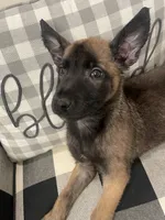 processed/fd4c5a1f-84dd-4204-8764-06a929a1b7f7/listing/f7c1189e-fa20-460d-b697-7d9d5871b259/948dfdd9-5bd6-457e-aefc-19af2eed3e14