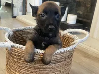 processed/fd4c5a1f-84dd-4204-8764-06a929a1b7f7/listing/f7c1189e-fa20-460d-b697-7d9d5871b259/b4254f78-4923-4b04-9742-f2c9a40b6420