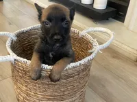 processed/fd4c5a1f-84dd-4204-8764-06a929a1b7f7/listing/f7c1189e-fa20-460d-b697-7d9d5871b259/cdc09958-1986-4f19-a304-fd4173bbebdd