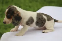 processed/fd5befd0-7986-47c6-b2b1-f27c1c5ecd21/listing/05265e97-e907-4481-b2cf-add5ee164a45/260555a7-0f23-4613-8cb6-2b73172e19e0