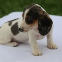 processed/fd5befd0-7986-47c6-b2b1-f27c1c5ecd21/listing/05265e97-e907-4481-b2cf-add5ee164a45/4947df44-03ab-4612-87a2-744c4eb17ca7