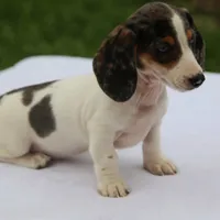 processed/fd5befd0-7986-47c6-b2b1-f27c1c5ecd21/listing/05265e97-e907-4481-b2cf-add5ee164a45/60349bb3-cf1a-4ced-b6ad-e89754d2d438