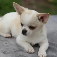 processed/fd5befd0-7986-47c6-b2b1-f27c1c5ecd21/listing/0d3ec4d1-02f5-48ec-9e93-0dcb2245199f/d5e40538-7730-4d80-9eaa-7302a2a0eb53