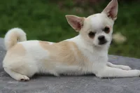 processed/fd5befd0-7986-47c6-b2b1-f27c1c5ecd21/listing/0d3ec4d1-02f5-48ec-9e93-0dcb2245199f/dfa99705-54a8-4f12-bbc6-0783f9845b63