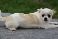 processed/fd5befd0-7986-47c6-b2b1-f27c1c5ecd21/listing/0d3ec4d1-02f5-48ec-9e93-0dcb2245199f/e58a22cc-3b81-4f05-835e-ee5399632116