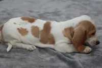 processed/fd5befd0-7986-47c6-b2b1-f27c1c5ecd21/listing/11e69f67-4f43-4ec6-bc15-acec8c0f379c/3a01ba93-74e8-4828-aeb6-f72aeff69dfa