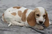 processed/fd5befd0-7986-47c6-b2b1-f27c1c5ecd21/listing/11e69f67-4f43-4ec6-bc15-acec8c0f379c/7d6db955-3b6e-48cd-8599-34af15b18cfc