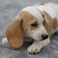 processed/fd5befd0-7986-47c6-b2b1-f27c1c5ecd21/listing/11e69f67-4f43-4ec6-bc15-acec8c0f379c/aa75b8e5-5c52-4aae-b85a-c333974ec481