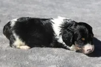 processed/fd5befd0-7986-47c6-b2b1-f27c1c5ecd21/listing/3dae487d-4efd-4942-be28-435cf33f4652/dd2ed82c-46bc-42b9-84a8-43919a1a06c8