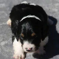 processed/fd5befd0-7986-47c6-b2b1-f27c1c5ecd21/listing/3dae487d-4efd-4942-be28-435cf33f4652/ed3e90c2-58c7-44a6-9f1c-8acd08a0527d