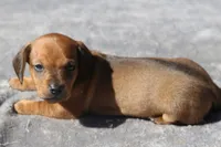 processed/fd5befd0-7986-47c6-b2b1-f27c1c5ecd21/listing/3ea46ba2-1271-4596-830f-b87dc0eb2d7a/50924d58-012e-42c1-8802-dc2f75ec217f