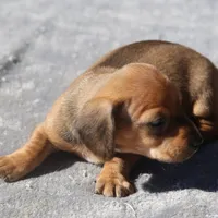 processed/fd5befd0-7986-47c6-b2b1-f27c1c5ecd21/listing/3ea46ba2-1271-4596-830f-b87dc0eb2d7a/5a0ad1d7-e324-422d-9b2c-c8bbe3641e45