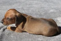 processed/fd5befd0-7986-47c6-b2b1-f27c1c5ecd21/listing/3ea46ba2-1271-4596-830f-b87dc0eb2d7a/b3982944-dfdb-4e1b-a61b-fbc058d9a8ad