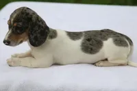 processed/fd5befd0-7986-47c6-b2b1-f27c1c5ecd21/listing/5b2e601d-adc6-4cc4-ae63-8f30ff6d3526/5f0c379a-7903-410c-b750-eca634634f64