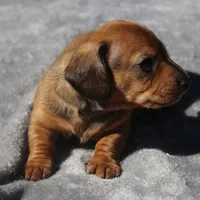 processed/fd5befd0-7986-47c6-b2b1-f27c1c5ecd21/listing/d154ef9c-8128-4190-8ce1-dfd63575c283/405b6ef5-ae28-43df-9c58-9b9724ea8ae9