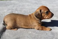 processed/fd5befd0-7986-47c6-b2b1-f27c1c5ecd21/listing/d154ef9c-8128-4190-8ce1-dfd63575c283/5b6231b6-5e20-4b8c-8f27-e9956a1d105a