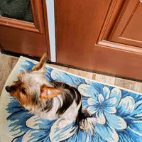 Uno, a male Yorkshire Terrier for sale in Decatur, GA – Photo 2 of 3