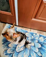 Uno, a male Yorkshire Terrier for sale in Decatur, GA – Photo 2 of 3