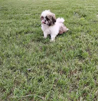 processed/fd6ae44c-f1a1-4ce5-ba4f-d35eae967f59/listing/a00f2c76-2c70-47a7-9d30-641f86edb300/895e3f8e-bd64-455d-92a0-843bfcafd8e6