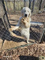 processed/fd70ccd5-159f-435e-a8cb-4254618b3aa9/listing/1daef25f-ff83-41a0-b406-b02993b9fcf1/2f4eba7d-db71-4b47-81fb-134d0ed433a6