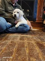 processed/fd70ccd5-159f-435e-a8cb-4254618b3aa9/listing/1daef25f-ff83-41a0-b406-b02993b9fcf1/50a3cd04-bcb0-4a49-9b3a-4809d0567f2c