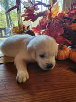 processed/fd70ccd5-159f-435e-a8cb-4254618b3aa9/listing/1daef25f-ff83-41a0-b406-b02993b9fcf1/a68c9f21-c587-4bb3-ad30-3c1a71c245ef