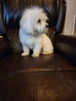 processed/fd70ccd5-159f-435e-a8cb-4254618b3aa9/listing/4e33601d-3a72-4661-b034-c60574b3696d/4d8bb092-cc72-4b54-b4b7-0a378d5b1af8