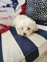 processed/fd70ccd5-159f-435e-a8cb-4254618b3aa9/listing/4e33601d-3a72-4661-b034-c60574b3696d/594b8792-a162-4055-aede-d2af8b091d71