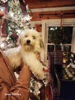 processed/fd70ccd5-159f-435e-a8cb-4254618b3aa9/listing/803a8f20-e448-4028-8a15-212c80572c62/4e70402f-7a9c-496a-a36a-42c2cc15fda9