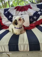 processed/fd70ccd5-159f-435e-a8cb-4254618b3aa9/listing/803a8f20-e448-4028-8a15-212c80572c62/e17ac320-7e73-4029-82a1-94b9f99430b2